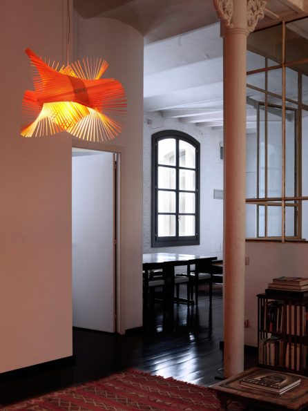 e41c53f47947b7fb7e8d9bae126918355daffc97-5663x8495