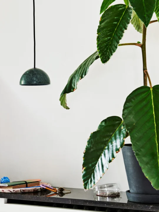 Grünes Marble Pendant von wrnong.london / Hat