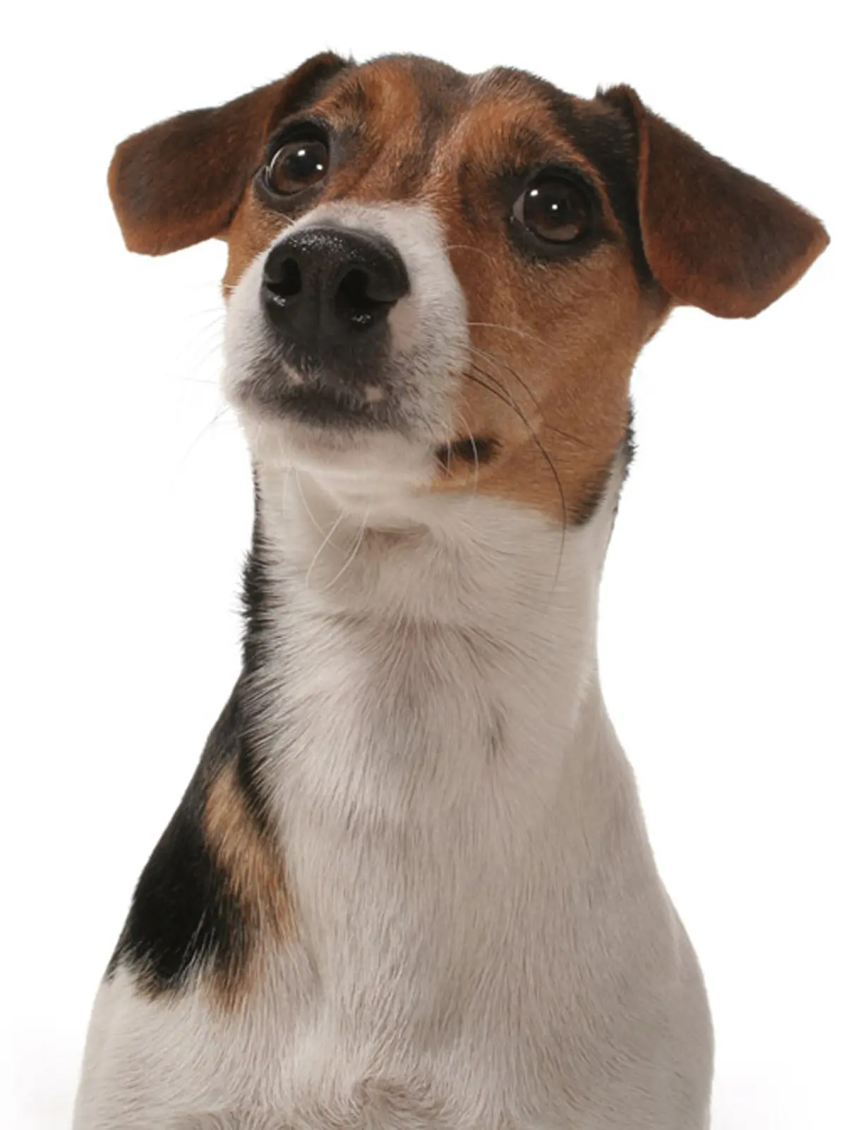 DesignOrt Blog: Designer im Portrait Felix Severin Mack von frauMaier