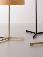 Fußfarben LZF Thesis
