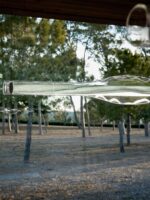 LZF Dune Detail Glas Furnierholz Leuchte Designort