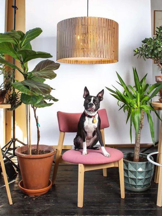 Graypants Kerflight große Pendelleuchte aus Holz