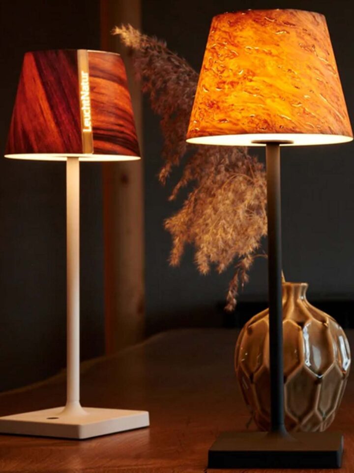 kleine aufladbare Tischlampe mit Schirm aus Holz LeuchtNatur Lumus