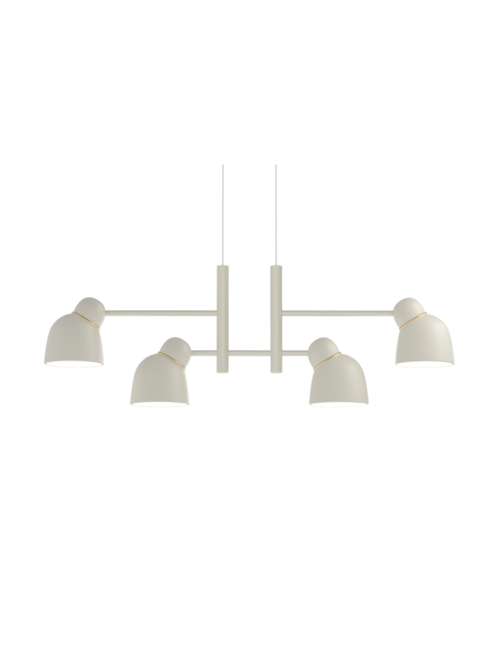 Bird Liniar Belid